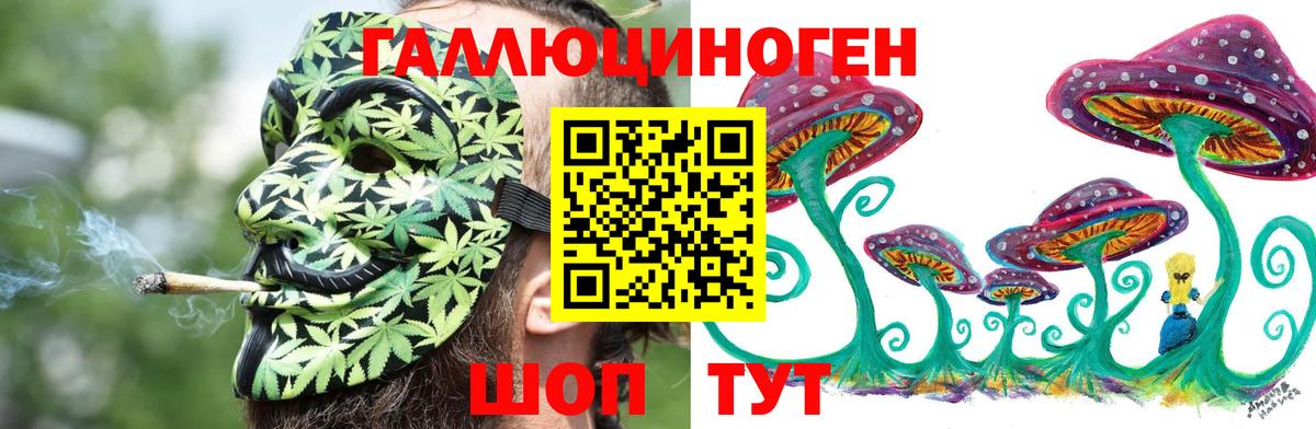 Галлюциногенные грибы Magic Shrooms Александров