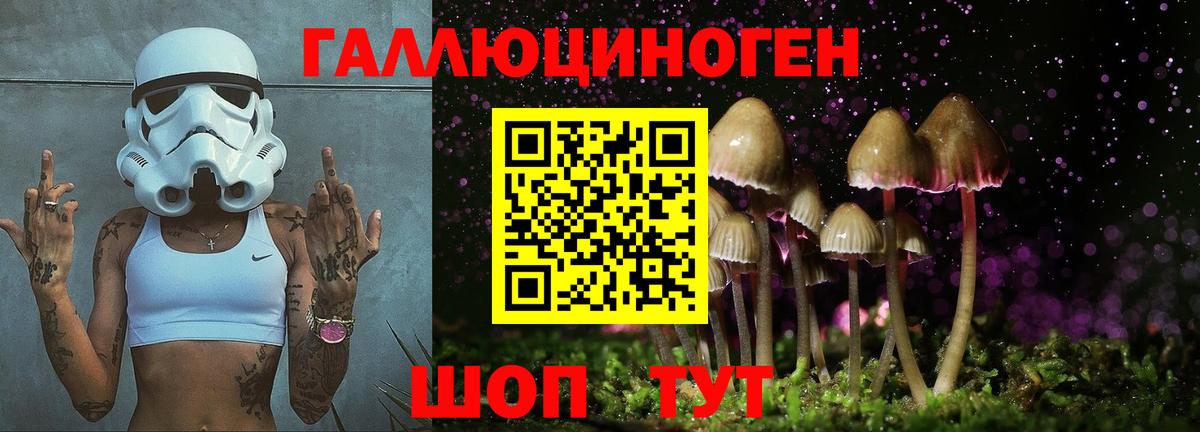Александров  Псилоцибиновые грибы Magic Shrooms  Вход с VPN 